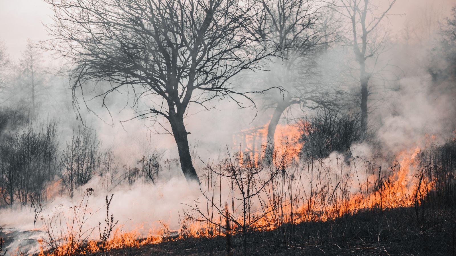 Scheduled Controlled Burn in RC postponed