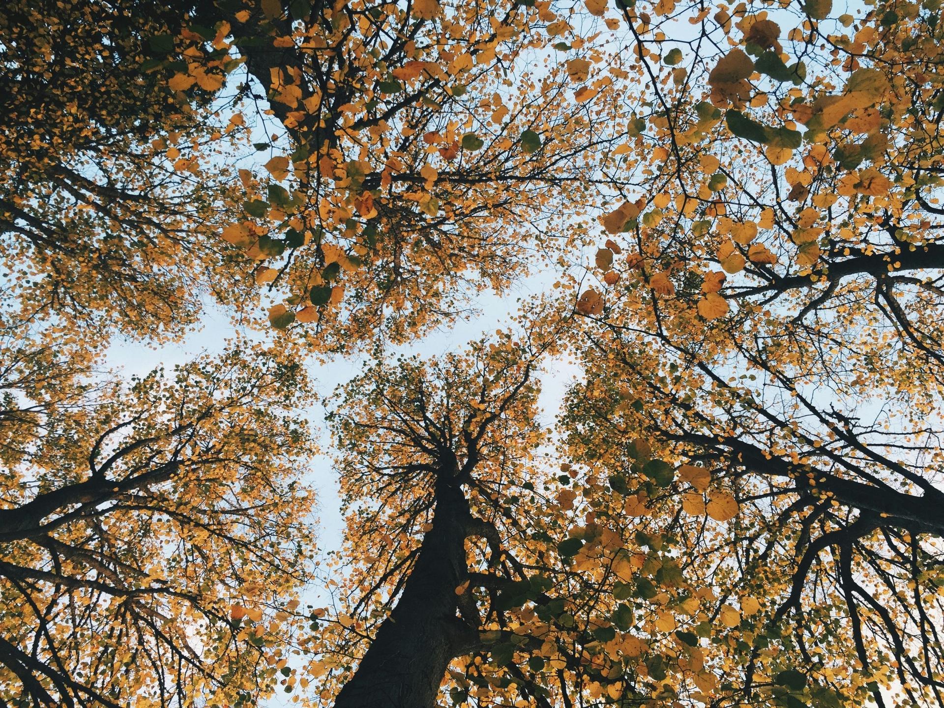 Kenosha County celebrates Arbor Day with unveiling of innovative weather station