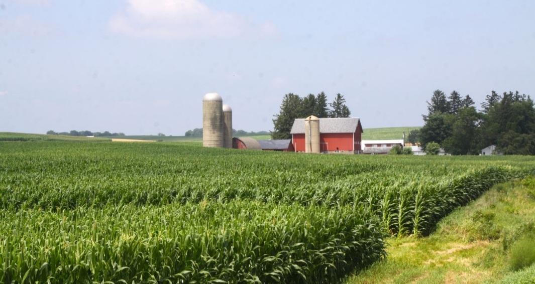 Senator Baldwin introduces bill to address mental health of farmers