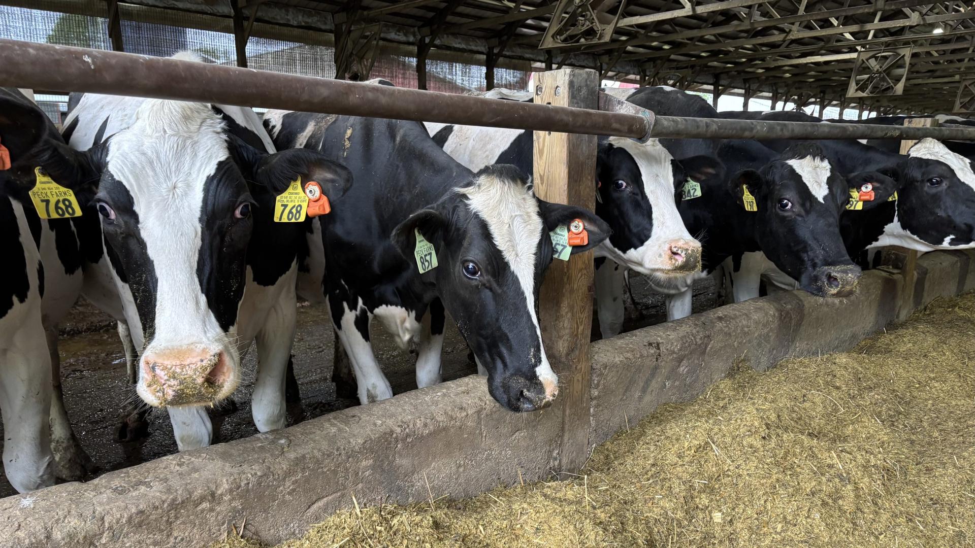 Western Wisconsin Residents Continue Fighting CAFO Expansion