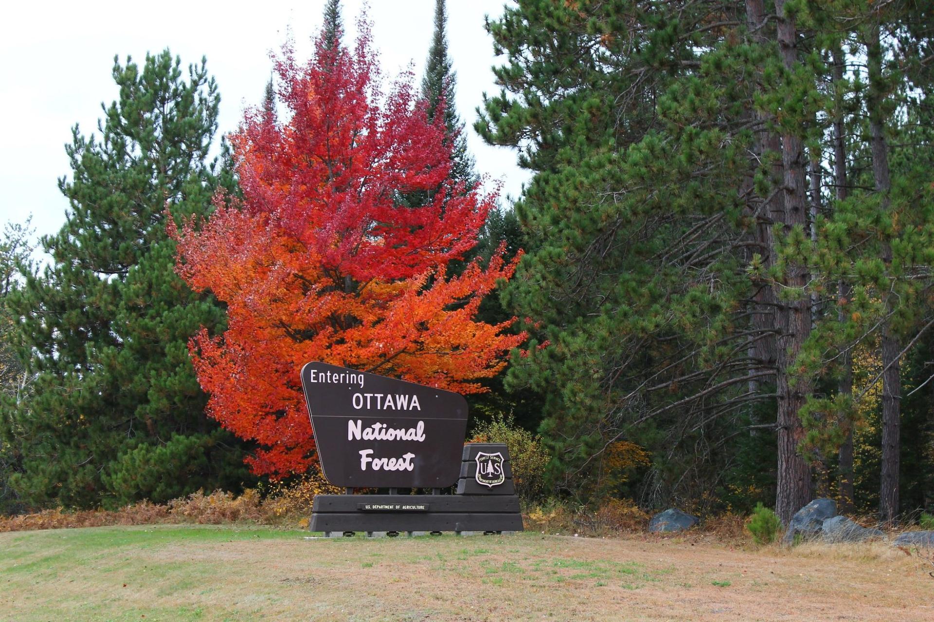Trump administration plans closure of 4 Michigan forestry research centers
